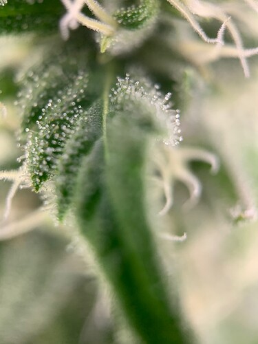 Growreport Bild 24