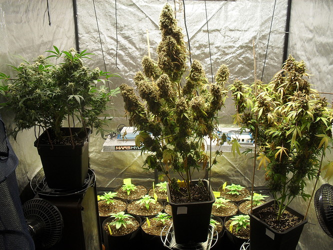 Growreport Bild 7