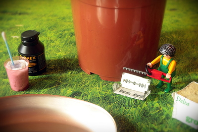 Growreport Bild 5