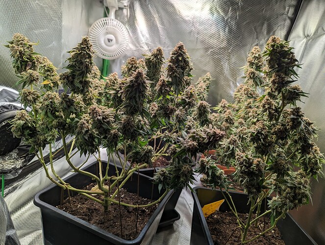 Growreport Bild 14