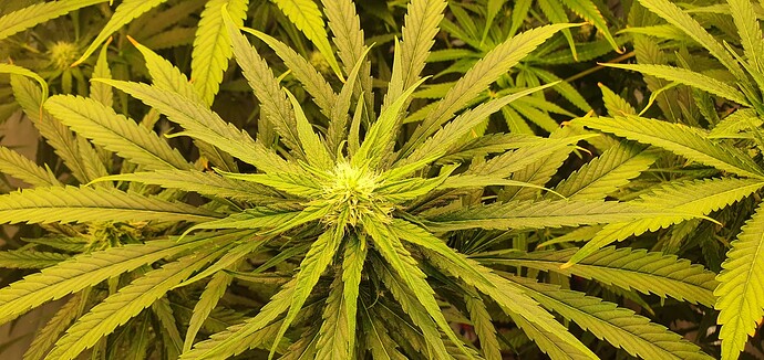 Growreport Bild 7
