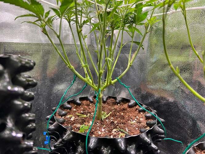 Growreport Bild 6