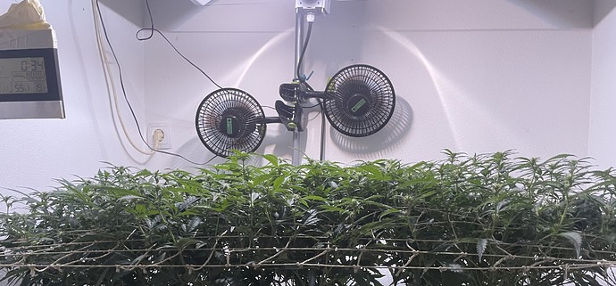 Growreport Bild 13