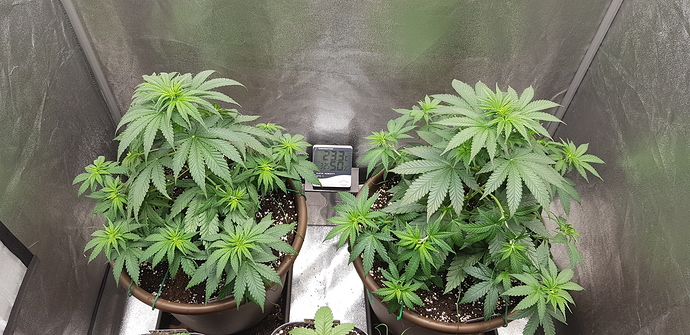 Growreport Bild 12