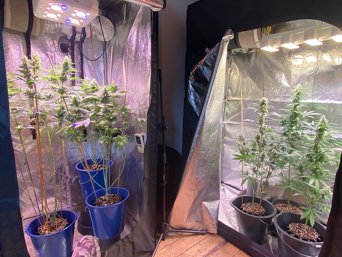 Growreport Bild 12
