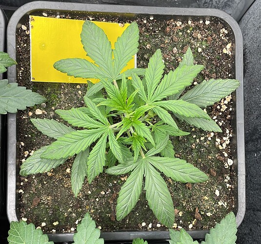 Growreport Bild 8