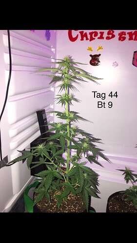 Growreport Bild 1