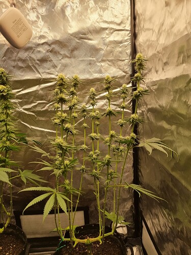 Growreport Bild 18