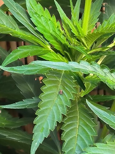 Growreport Bild 30