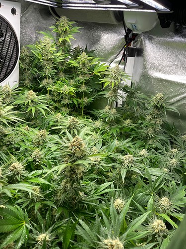 Growreport Bild 18