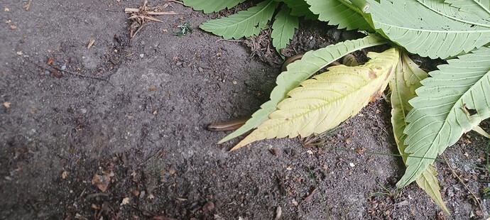 Growreport Bild 13