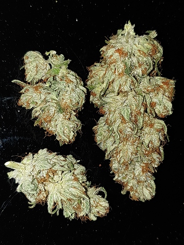Growreport Bild 17