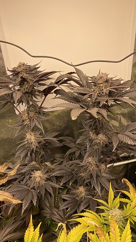 Growreport Bild 10
