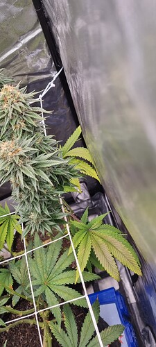 Growreport Bild 18