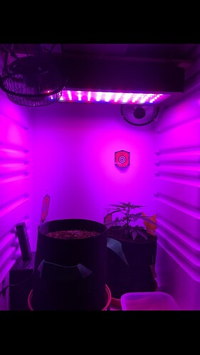 Growreport Bild 10