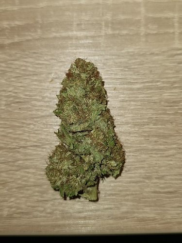 Growreport Bild 2