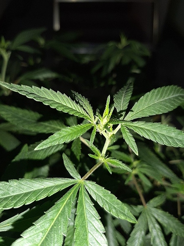 Growreport Bild 12