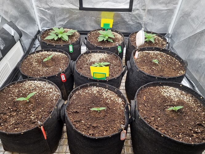 Growreport Bild 6