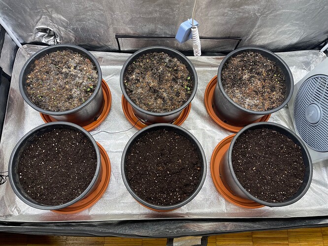 Growreport Bild 5