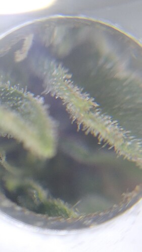 Growreport Bild 15