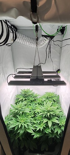 Screenshot_2024-02-01-11-04-16-923_com.miui.gallery