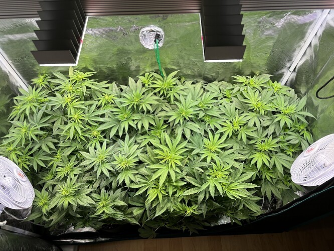 Growreport Bild 7