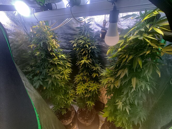Growreport Bild 24