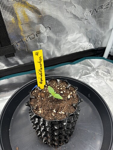 Growreport Bild 14