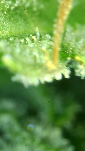 Growreport Bild 23