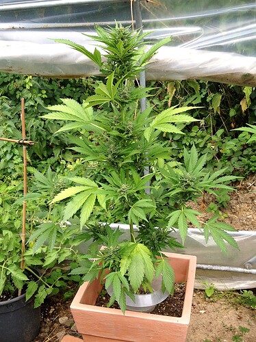 Growreport Bild 22