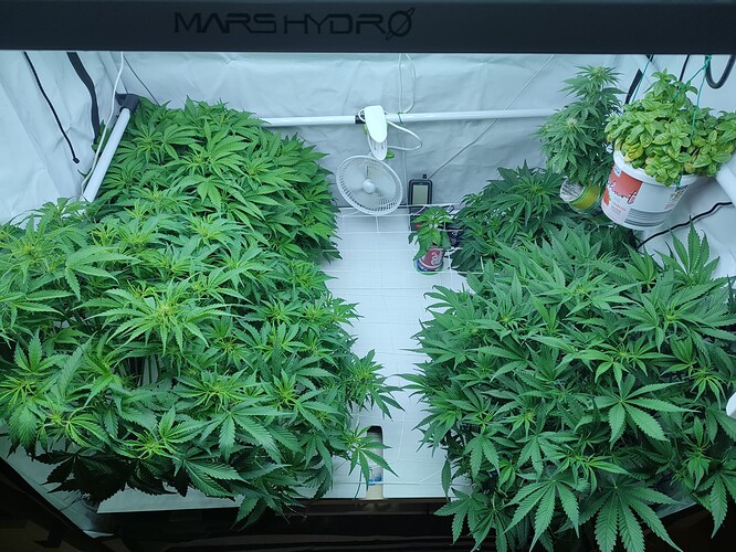 Growreport Bild 25