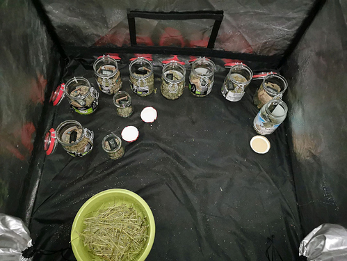 Growreport Bild 4