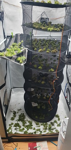 Growreport Bild 40