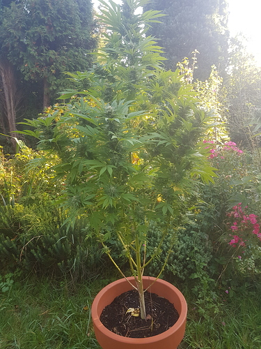Growreport Bild 21