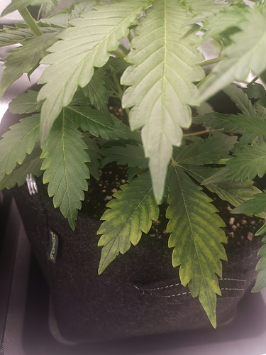 Growreport Bild 11