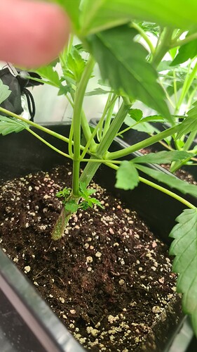 Growreport Bild 10