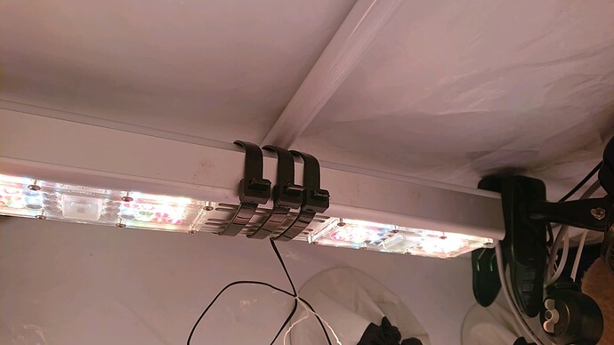 Growreport Bild 12