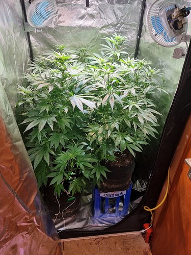 Growreport Bild 13