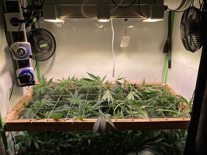 Growreport Bild 4