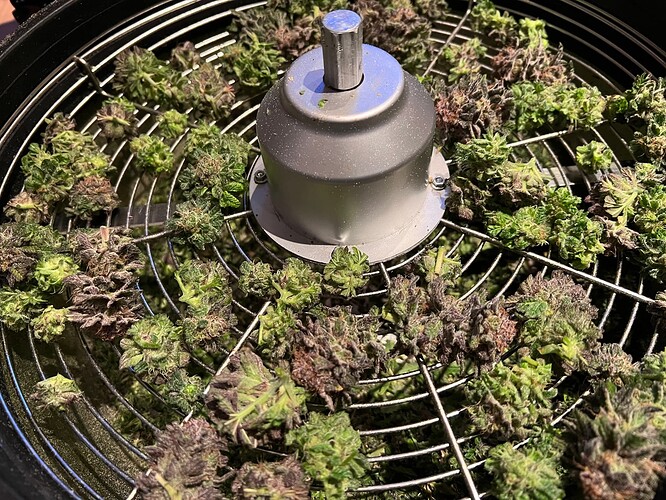 Growreport Bild 2