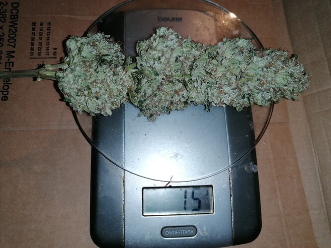 Growreport Bild 6