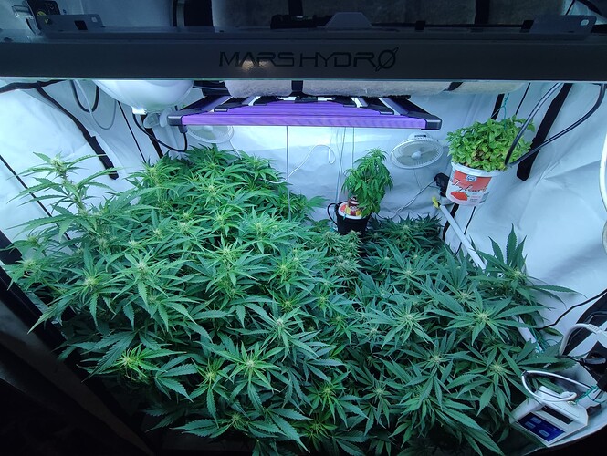 Growreport Bild 1