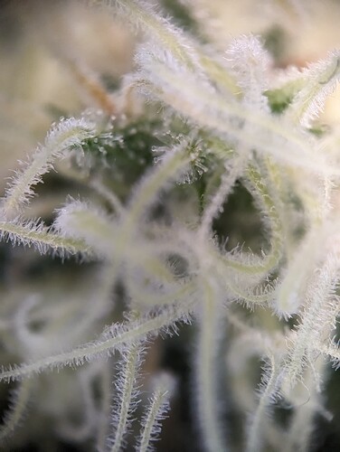Growreport Bild 15