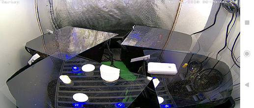Growreport Bild 24