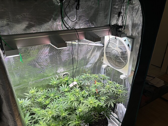Growreport Bild 6