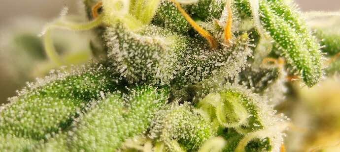 Growreport Bild 10
