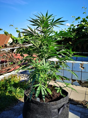 Growreport Bild 21