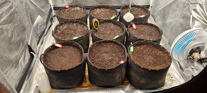 Growreport Bild 25