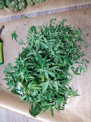 Growreport Bild 6