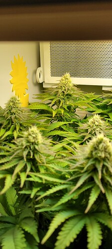 Growreport Bild 8